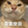 TX 的头像